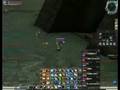 bmau conga line at cw