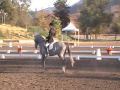 Claire de Lune SE Dressage at Galway Downs