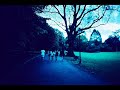 lomography journal