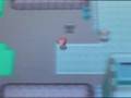 Pokemon D/P Postgame - Eevee and Rotom
