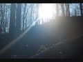 In the Woods.wmv