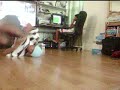 Munchmill Practice 2