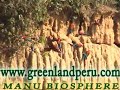 MANU NATIONAL PARK MACAW CLAY LICK MANU NATIONAL PARK MACAW CLAY LICK