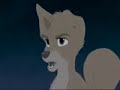 barking at the stars.wmv
