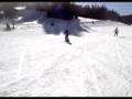 Shreddin'