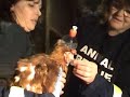 ALV Openrescue at Wallan egg laying factory