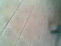 yair 7 y gus 10