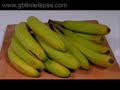descomposicion de Frutas