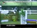 Horse Crash.... Very funny.... Horse Crash.... Very funny....