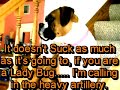 Sucking up Lady Bugs Makes Muffin Cry Sucking up Lady Bugs Makes Muffin Cry