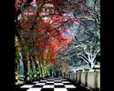 Moments Of Creation