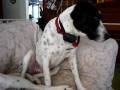 videos de Boom and Pom.MOV