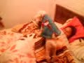 Prohibido Papá en la cama
