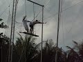 Trapeze - CK Bintan Clubmed