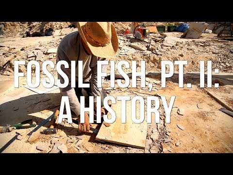 Fossil Fish, Pt. II: A History