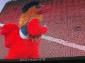 Frisco Rough Riders