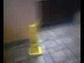 videos de Acting A Fool In Mcdonalds