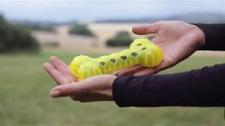Spielzeug Knochen Bone