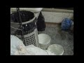 Calco in Gesso