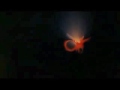 opal detonation 917 ~ this noise between us
