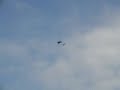 F-15 and P-51