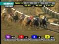 2010 Gotham Stakes (G3) - Awesome Act