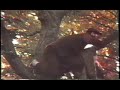 Pac Comedy and the Temple of Doom Part 2