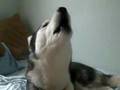 Kaiser Howling