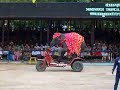 Elephants Riding Tricycles; Nong Nooch Elephant Show