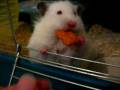 videos de Hermina en het snoepje