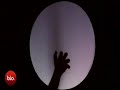 Amazing Hand Shadow show by Raymond Crowe
