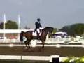 Dane Rawlins and Sydney - Dressage Freestyle To Music