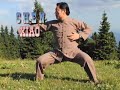 Grandmaster Chen Xiaowang - compilation