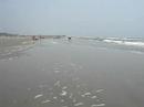 Isle of Palms Isle of Palms