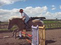Jumping Zee Pig - Huuuge!