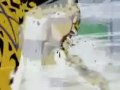 DBZ-Naruto-Bleach-One Piece