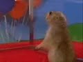 1 Minute Dramatic Chipmunk / Prairie Dog