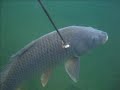 Spearfishing Wisconsin winters