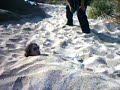 la ca&ntilde;ita voladora del verano