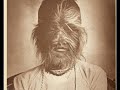 From 'Missing Link Mania' to Creationism.com: 150 Years of Popular Darwinism in Europe