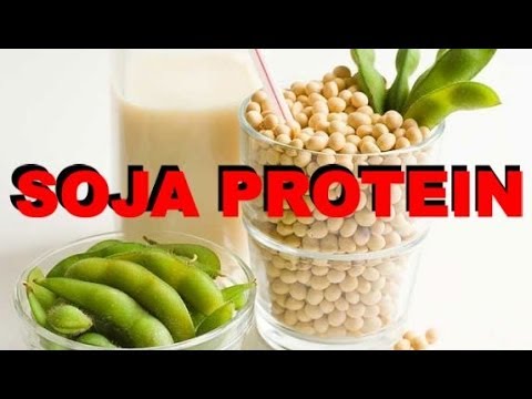 Meine Meinung zu Soja Protein