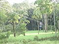 CANNOPY 2 CANNOPY 2