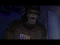 SMOKING MONKEY trailer 3 SMOKING MONKEY trailer 3