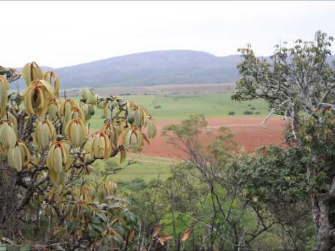 Belowe Jou – Juba