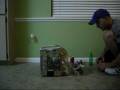 Tony Soprano: Waste Management - Classification Test
