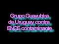 ENCE GUAYUBIRA ESTUDIO IMPACTO AMBIENTAL.