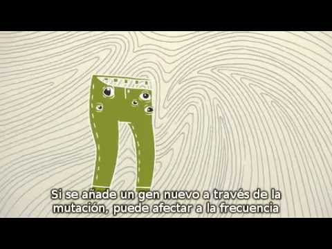 Imagen de previsualización de YouTube