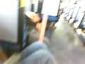 videos de buiu cagao