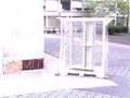 Vertical wind turbine at MIT