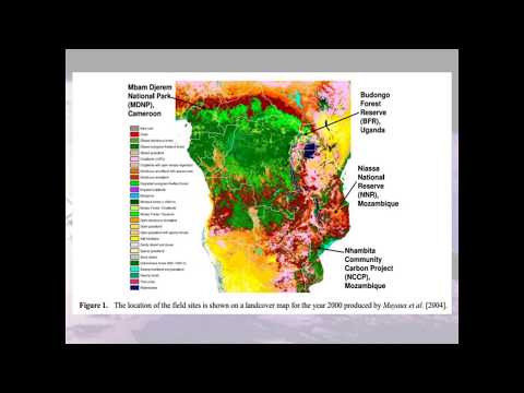 how to measure biomass